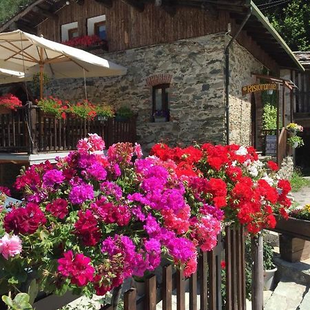 B&B Vinicola23 Limone Piemonte Room photo
