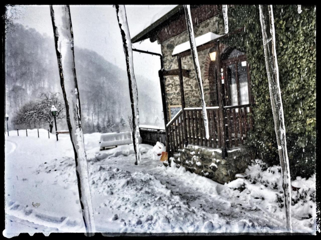 B&B Vinicola23 Limone Piemonte Exterior photo